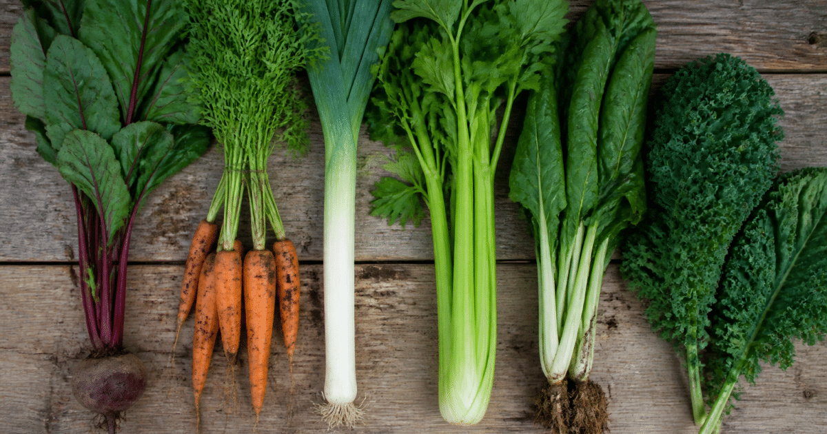 Affiche imprimable montrant legumes du potager disposes verticalement