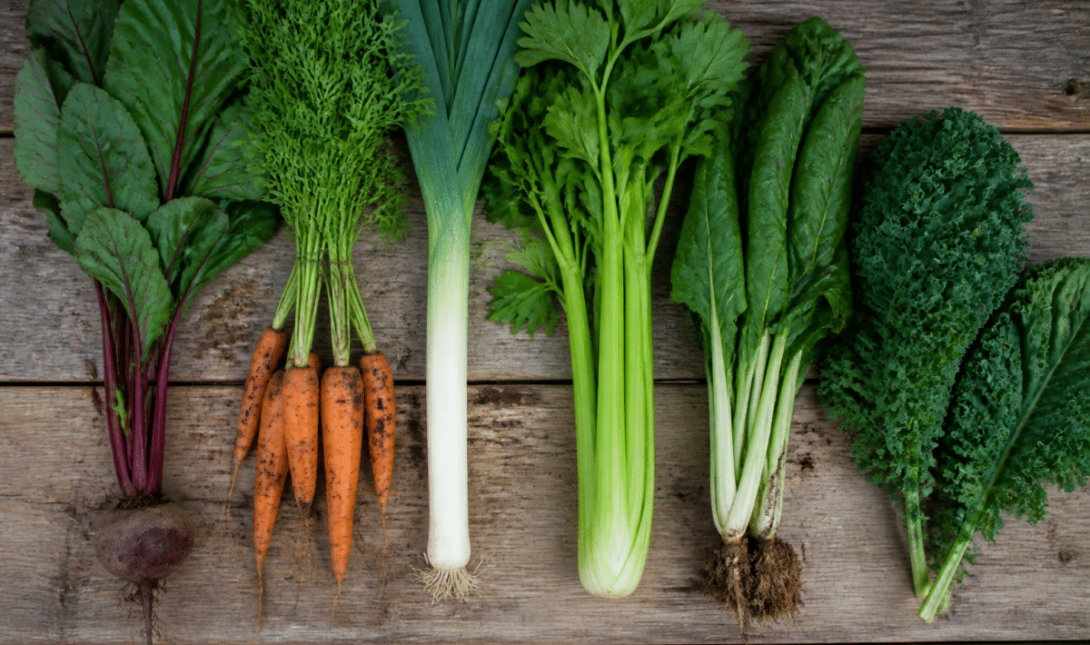 Affiche imprimable montrant legumes du potager disposes verticalement