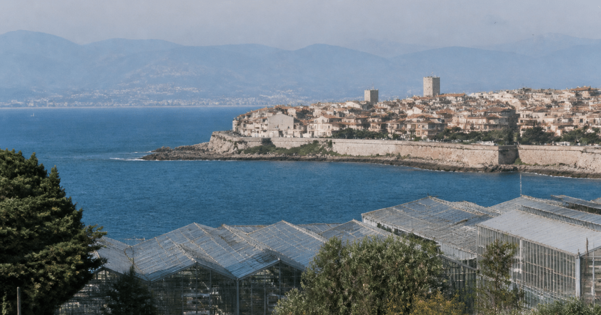 Vue aerienne de la ville cotiere d'Antibes avec ses immeubles serres