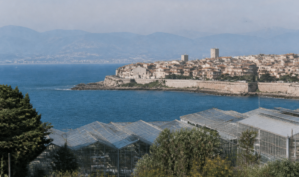 Vue aerienne de la ville cotiere d'Antibes avec ses immeubles serres