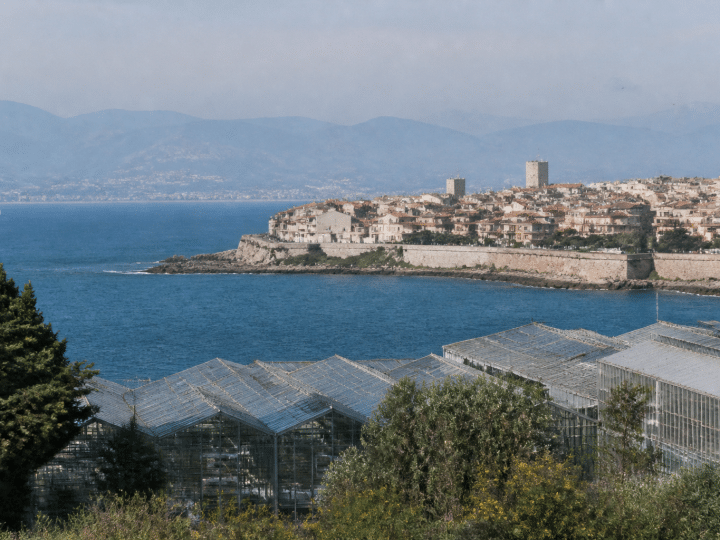 Vue aerienne de la ville cotiere d'Antibes avec ses immeubles serres