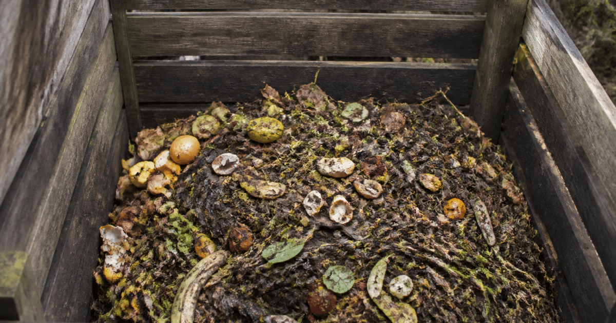 Bac de compostage rempli de dechets organiques en decomposition