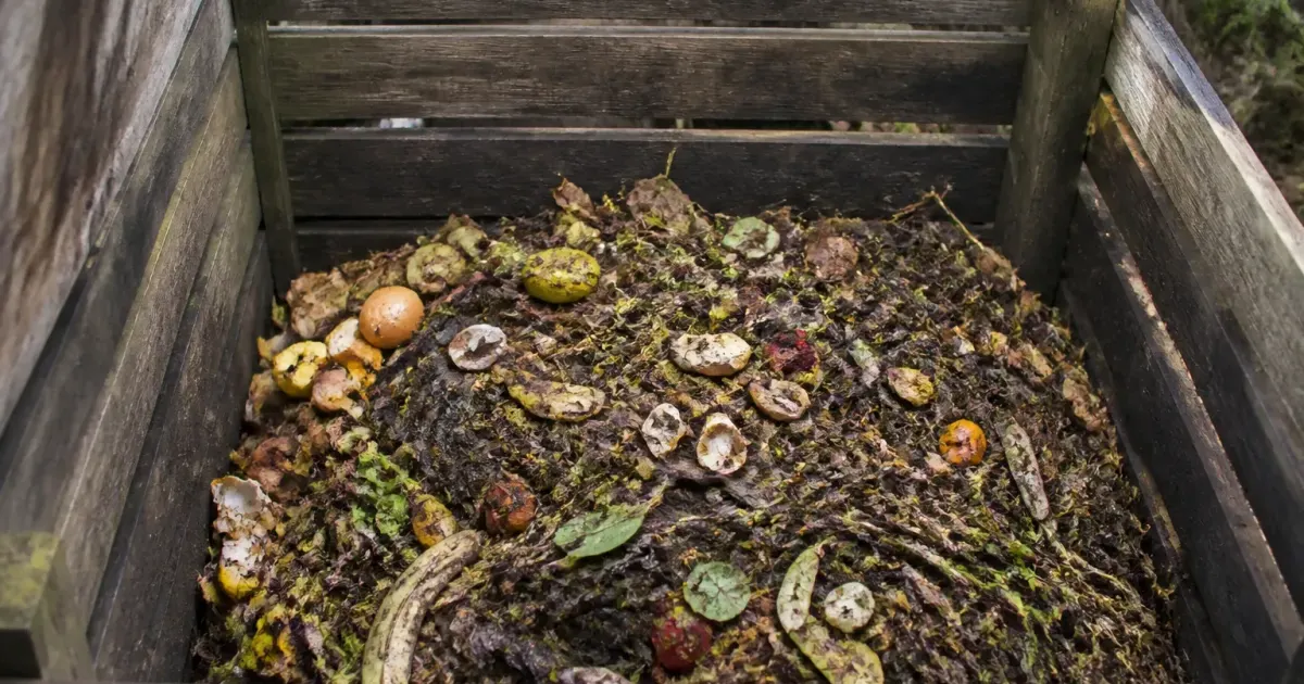 Bac de compostage rempli de dechets organiques en decomposition