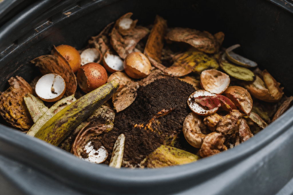 Decomposing fruit peels, coffee grounds, and eggshells in compost bin