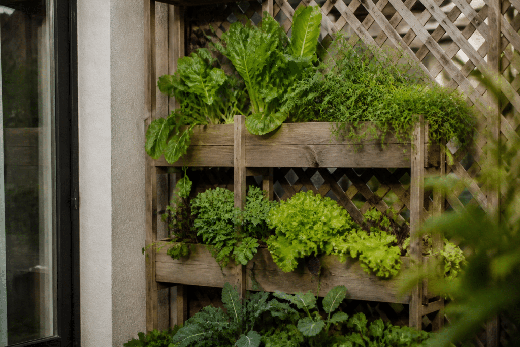 Potager vertical avec plants superposés et structures en treillis