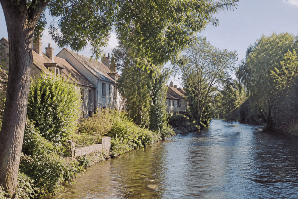 Maisons tranquilles bordant une rivière avec arbres verts